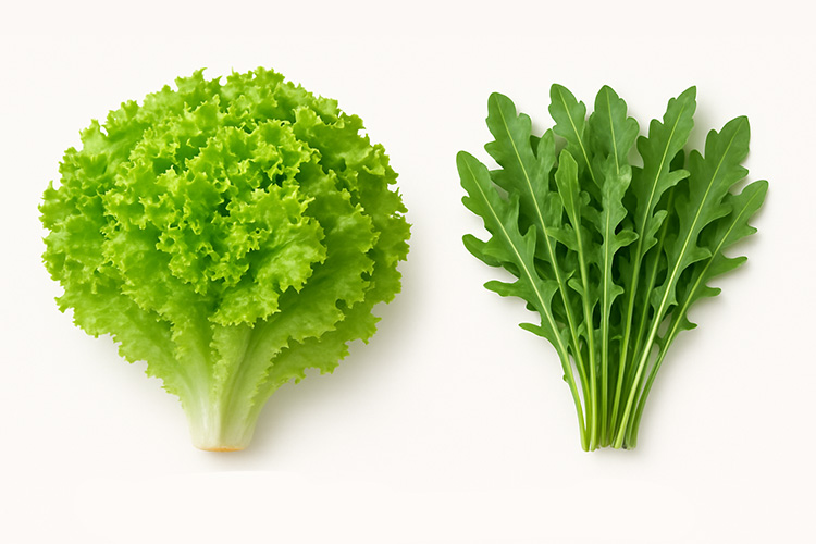 Kıvırcık ve Roka Paketleme | Kral Agro