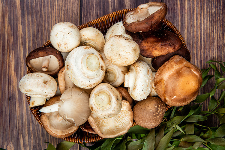  Kestane Mantarı | Kral Agro