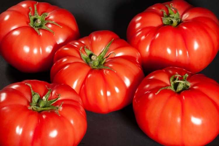 Köy  Domatesi | Kral Agro